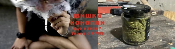 Альфа ПВП Бикин
